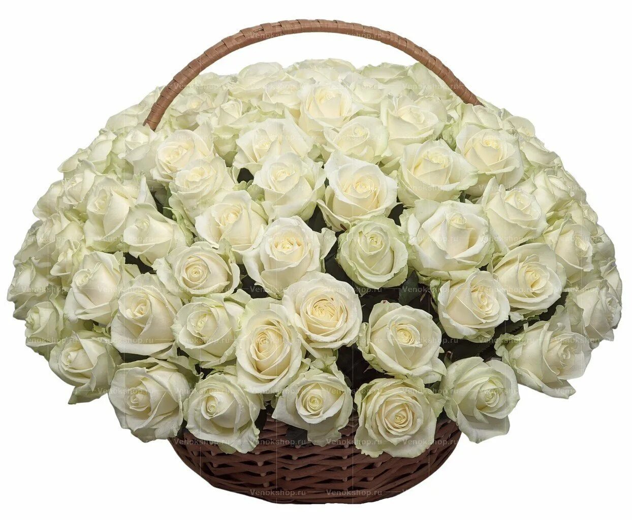 Розы белые низкие. Корзина с цветами. Огромная корзина цветов. Красивые букеты в корзинках. Корзина белых роз.
