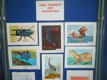 Конкурсы красная книга