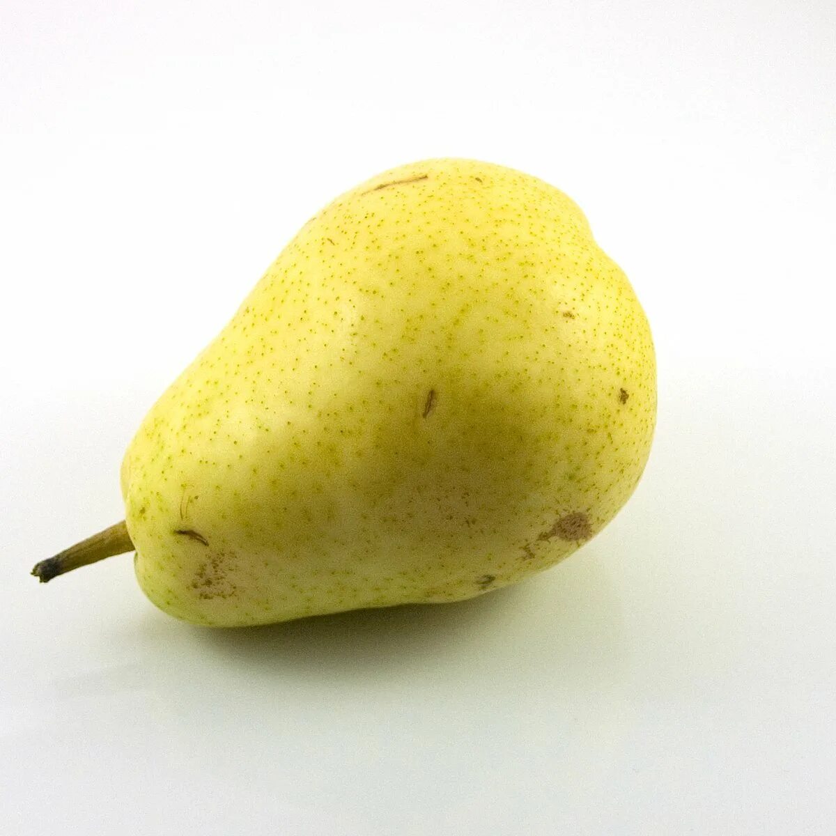 ). Груша иволистная. Груша куйбышевская золотистая. Груша обыкновенная отрадненская. Груша новый урожай.