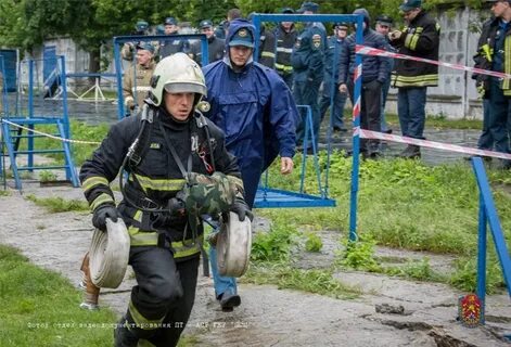Службы зеленограда
