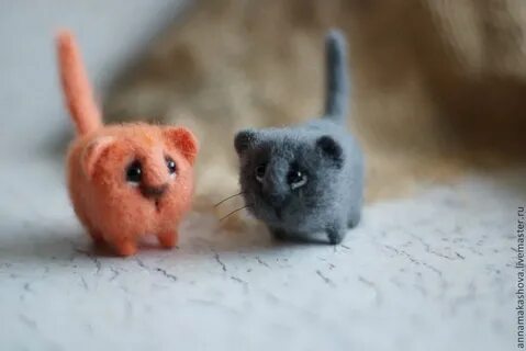 Котик из шерсти