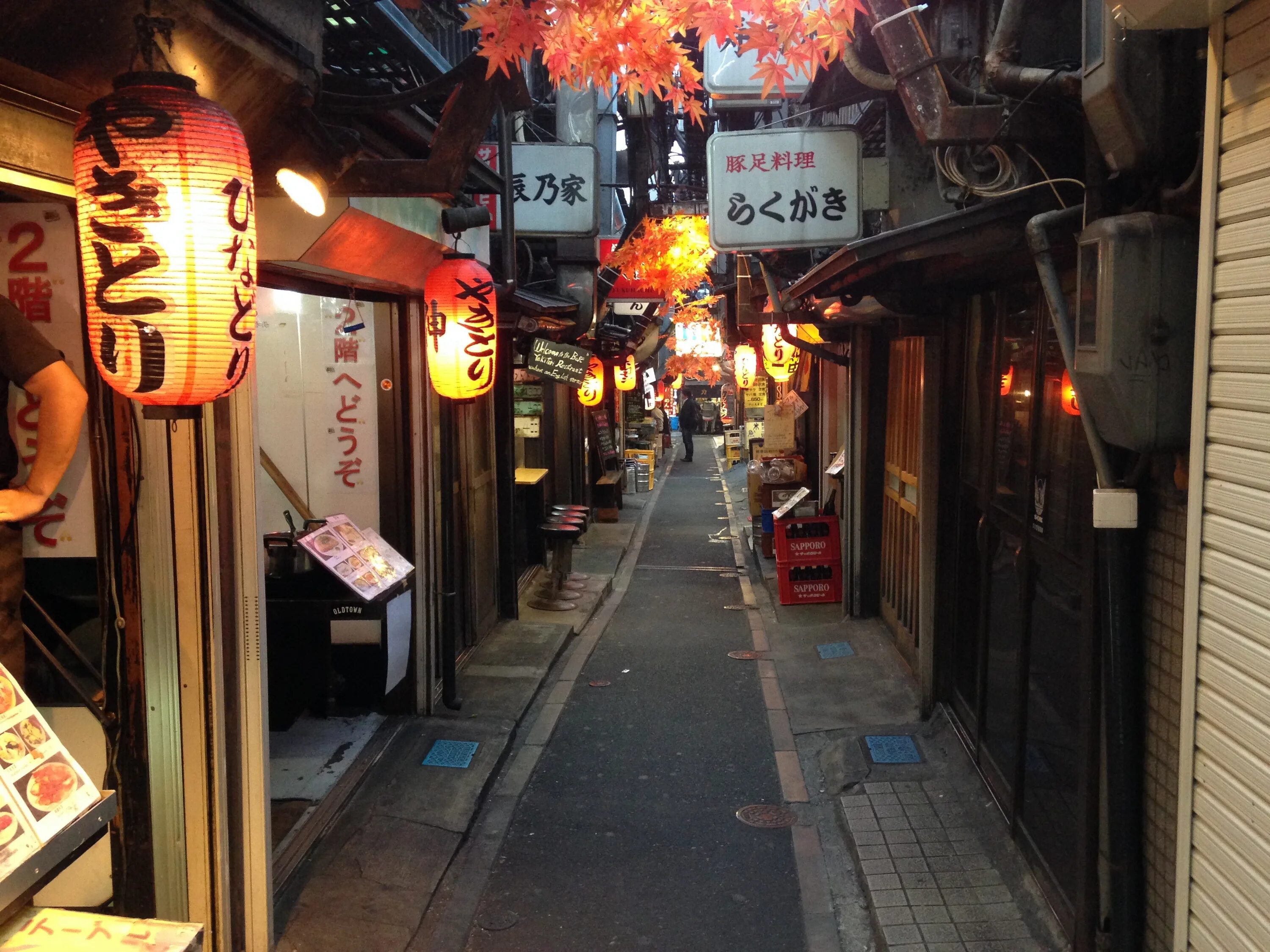 Japan кафе Japan Китай город. Стрит фуд Япония. Японский стрит фуд улица. Izakaya бар Япония. True asia ул аллея