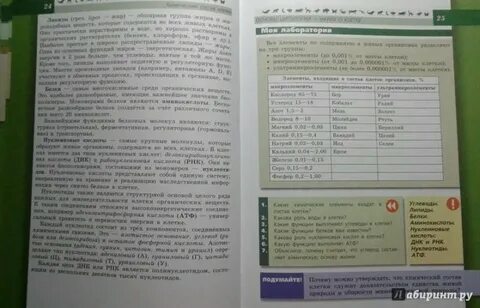 Биология 8 класс учебник параграф 7
