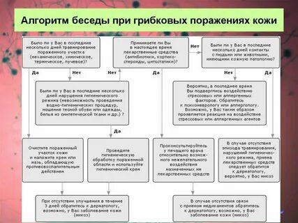 Алгоритм консультирования