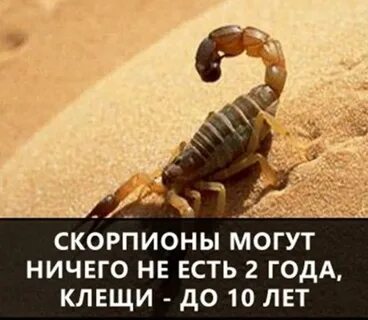 Поразить факт