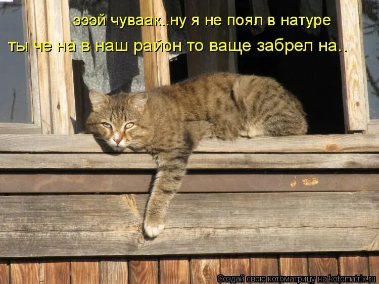 Че в натуре