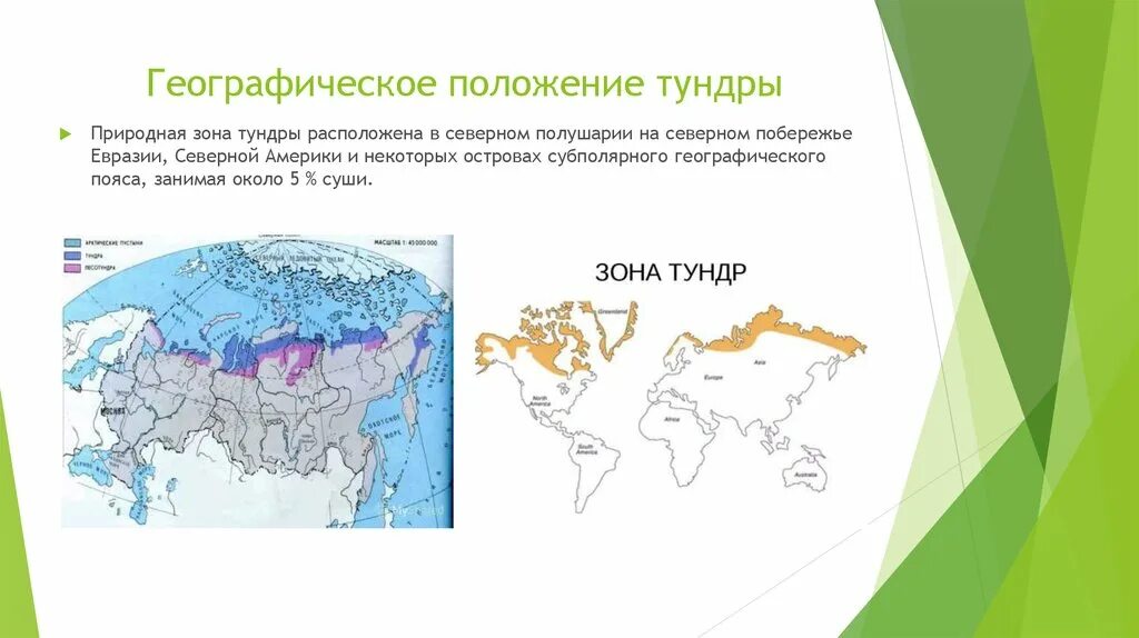 Распространены в северной америке и евразии. Географическое положение тундры на карте. Географическое положение зоны тундры в России. Природная зона тундра географическое положение.