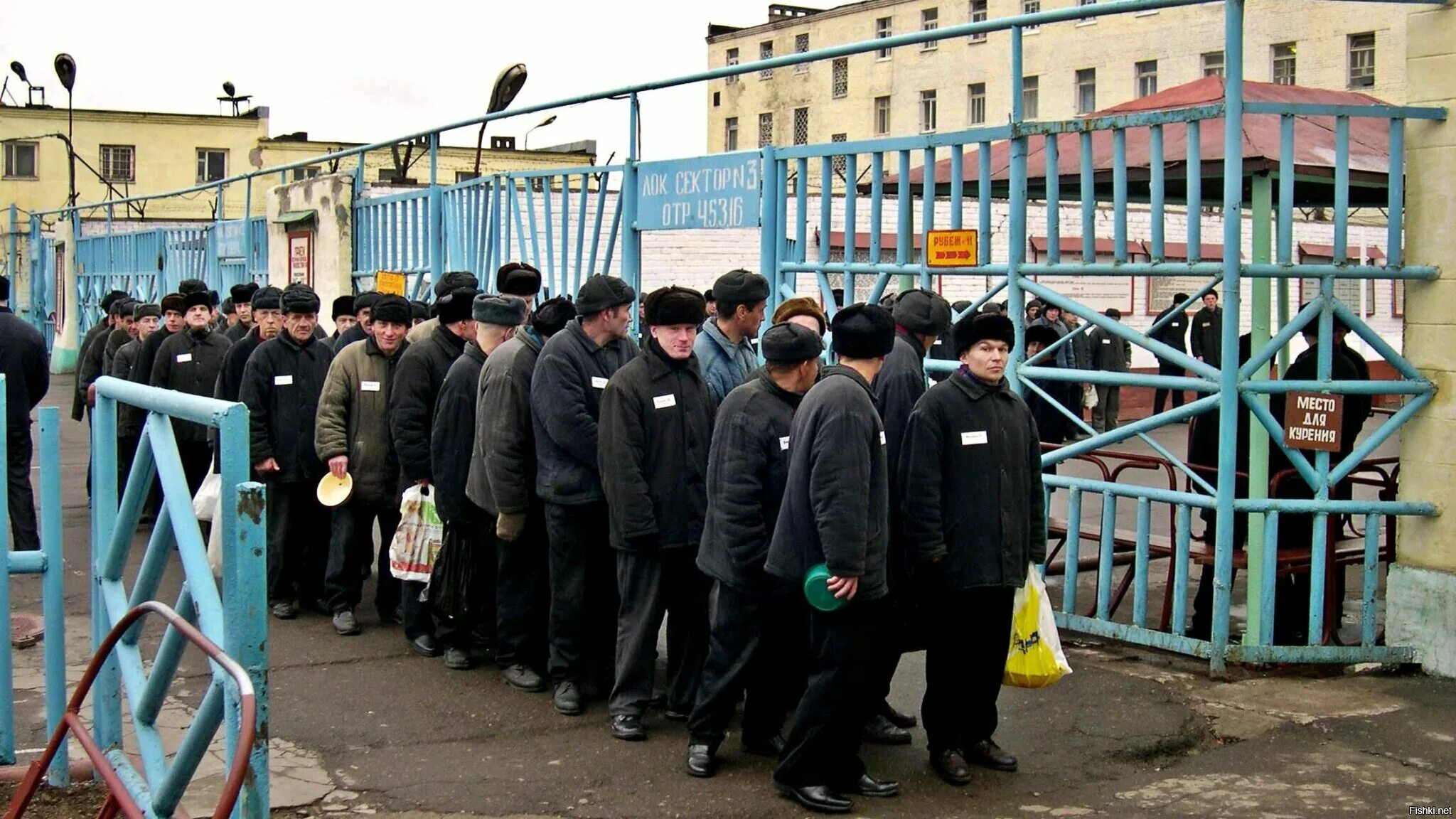 Исправительные учреждения строгого режима. Форносово колония строгого режима. ИК 4. ИК-3 Форносово. ИК 4 Форносово начальник колонии.