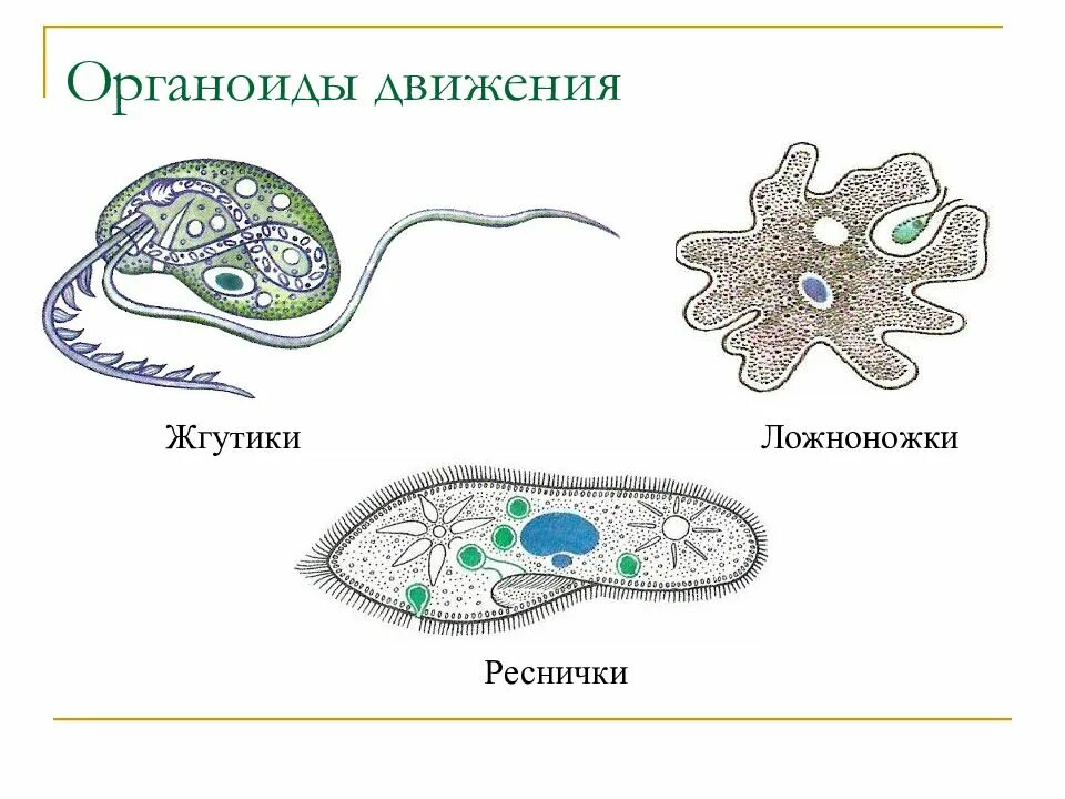 Передвижение строения