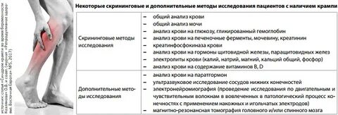 Судорога в икроножной мышце причины у женщин