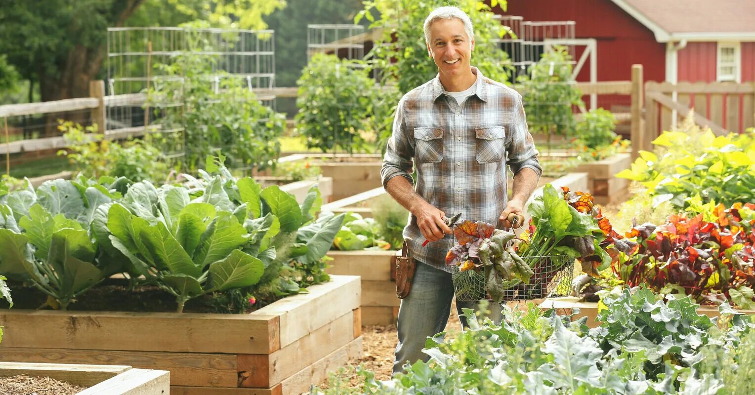 Get my garden