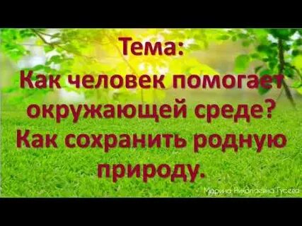 Как вы помогаете окружающей среде