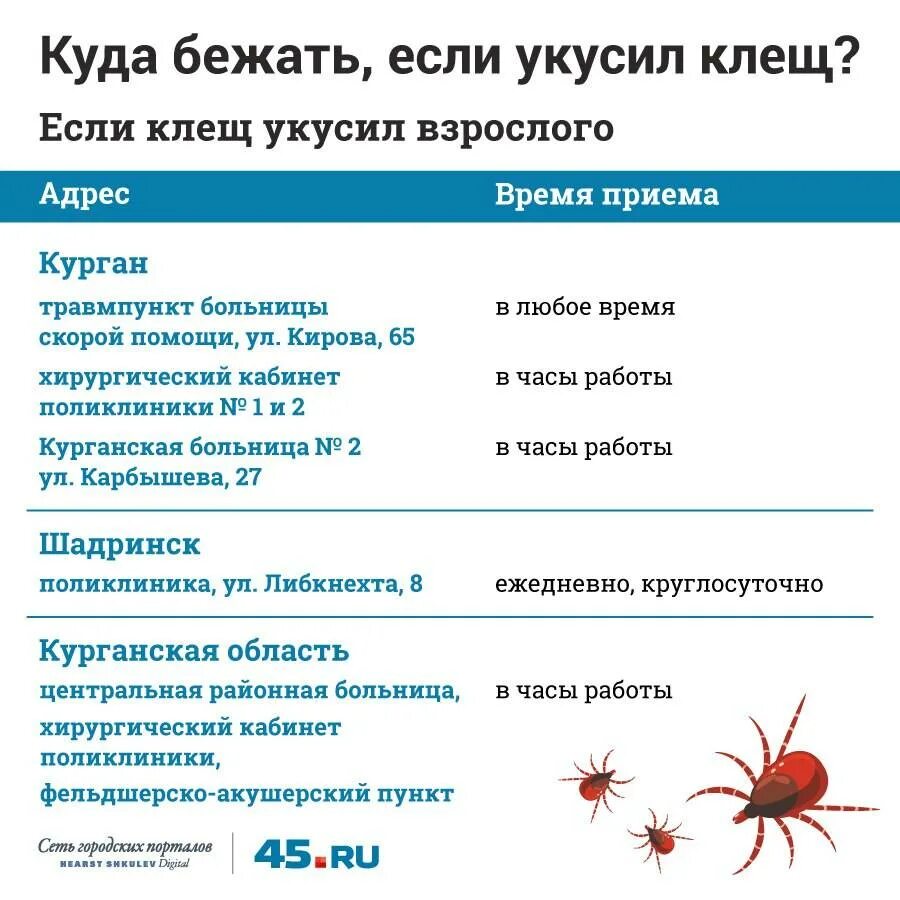 Если укусил клещ какие таблетки нужно пить. Куда обращаться приукусе кща. Куда обращаться если укусил клещ. Куда обращаться после укуса клеща. Обращение при укусе клеща.