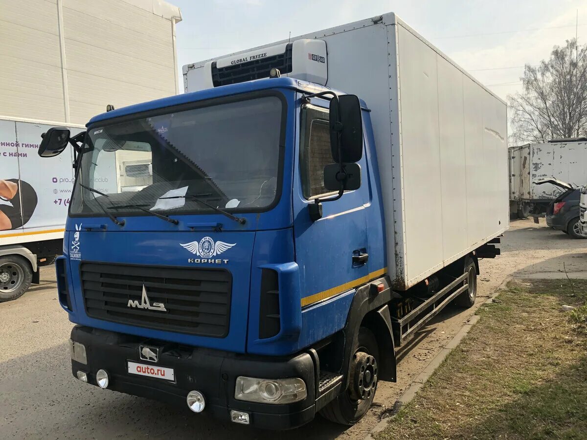 маз 4371 корнет. маз 4371 корнет. маз 4371 корнет. маз зубренок 4371 корнет. маз 4371 корнет.