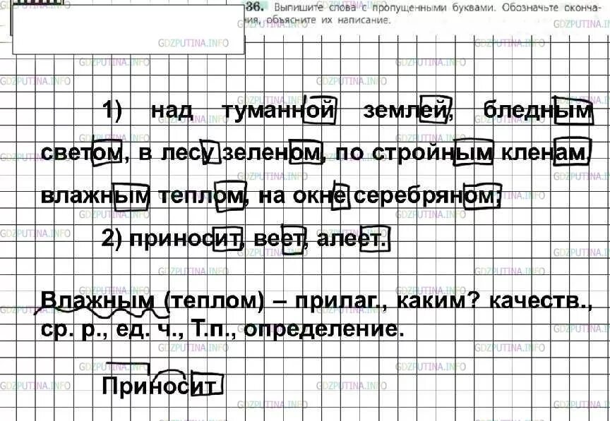 6 класс русский ладыженская итоговая работа. Русский язык 6 класс ладыженская. Русский язык 6 класс упр 36. Русский язык 6 класс ладыженская 2 часть. Русский язык 6 класс ладыженская картинки.