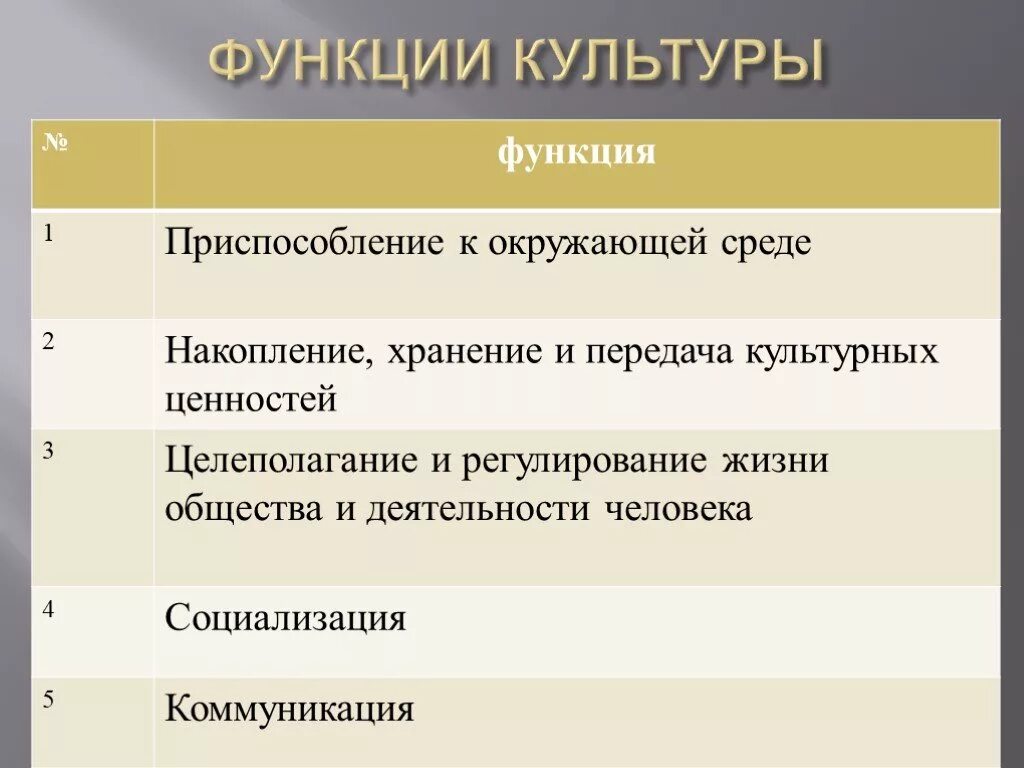 Функционирование ценностей в обществе. Функции культуры. Функция приспособления к окружающей среде культура. Функции культуры в обществе. Функции культуры таблица.