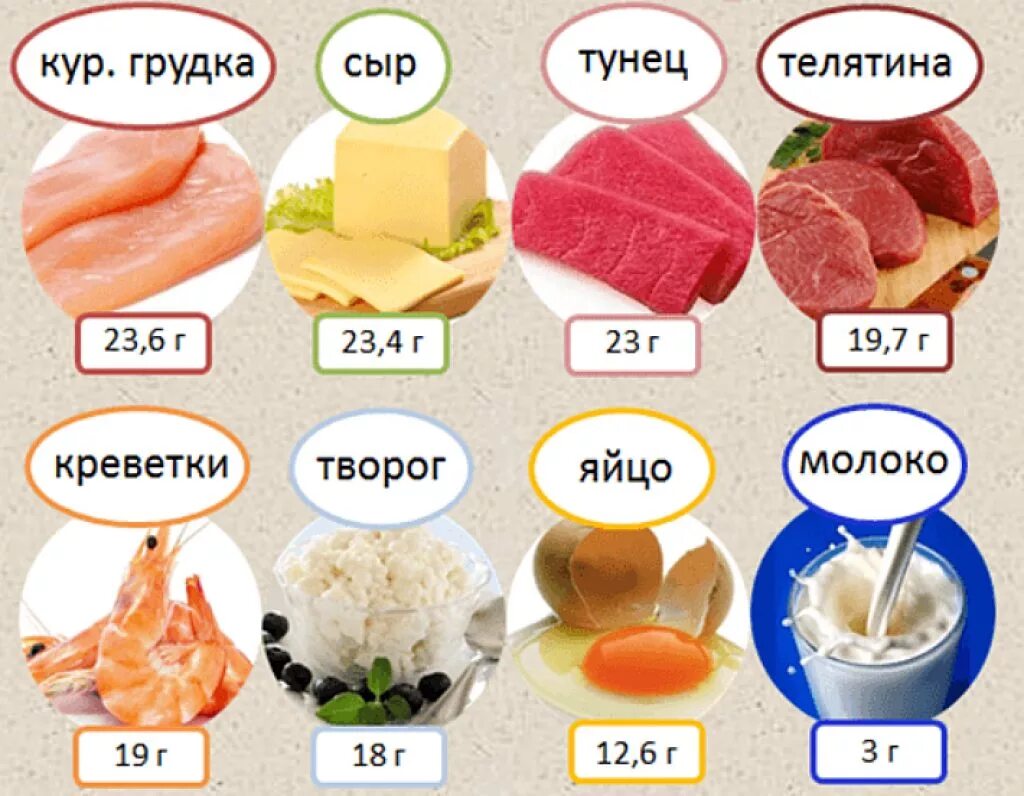 Что содержат белки. Еда с большим содержанием белка. какие продукты содержат белок. где содержится много белка. продукты с высоким содержанием белка.
