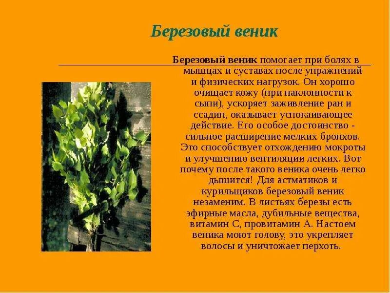 Сочинение на тему веник со всеми типами речи. Памятка как запомнить веник. Как называется веник на букву р. Веники песня текст. Сочинение про веник по русскому языку.