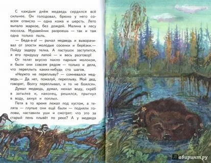 Сказку к г паустовского дремучий медведь