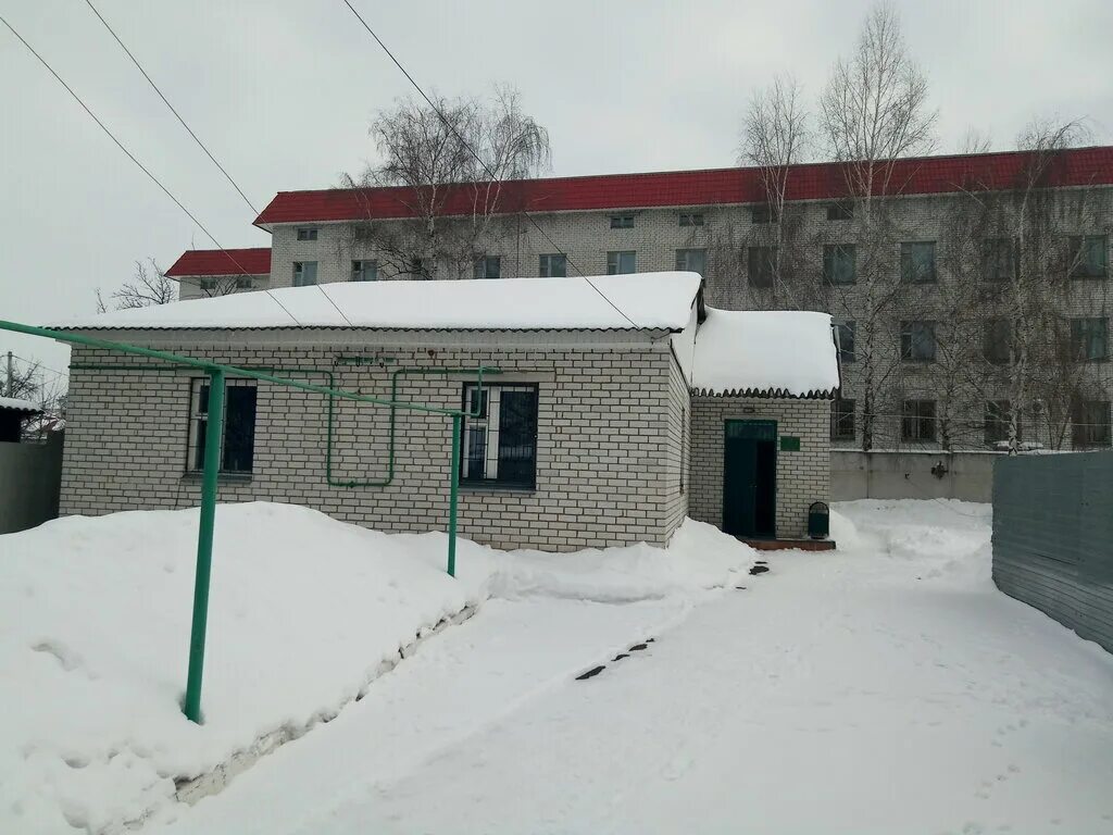 лечебно профилактический ветеринарный центр