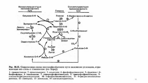 Стадии пути