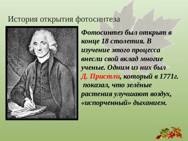 Фотосинтез определение. Возникновение хлорофилла. Почему появился фотосинтез. Фотосинтез иллюстрация. Опыт фотосинтез.