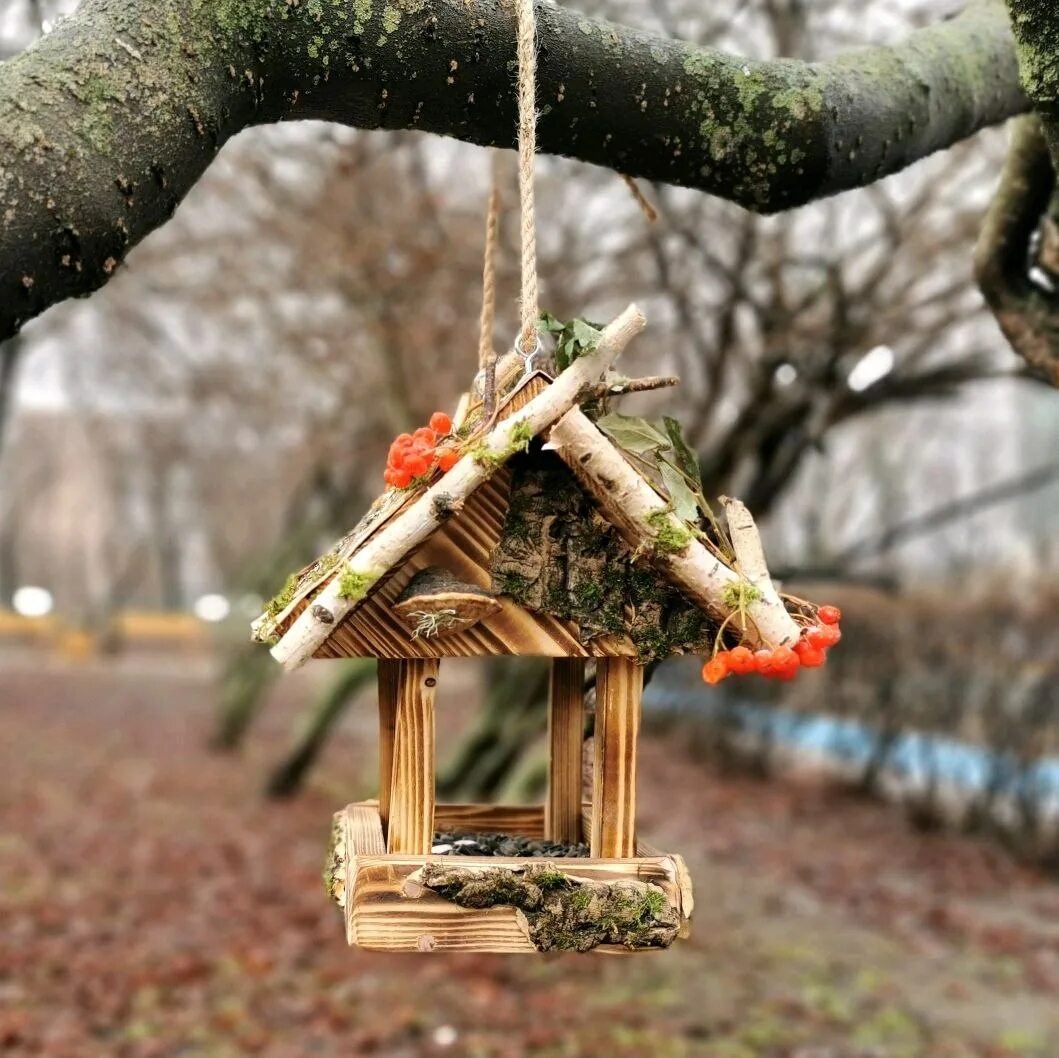 Кормушка для птиц из дерева своими руками. Кормушка для птиц. оригинальные кормушки для птиц. декоративные кормушки для птиц. креативная кормушка для птиц.