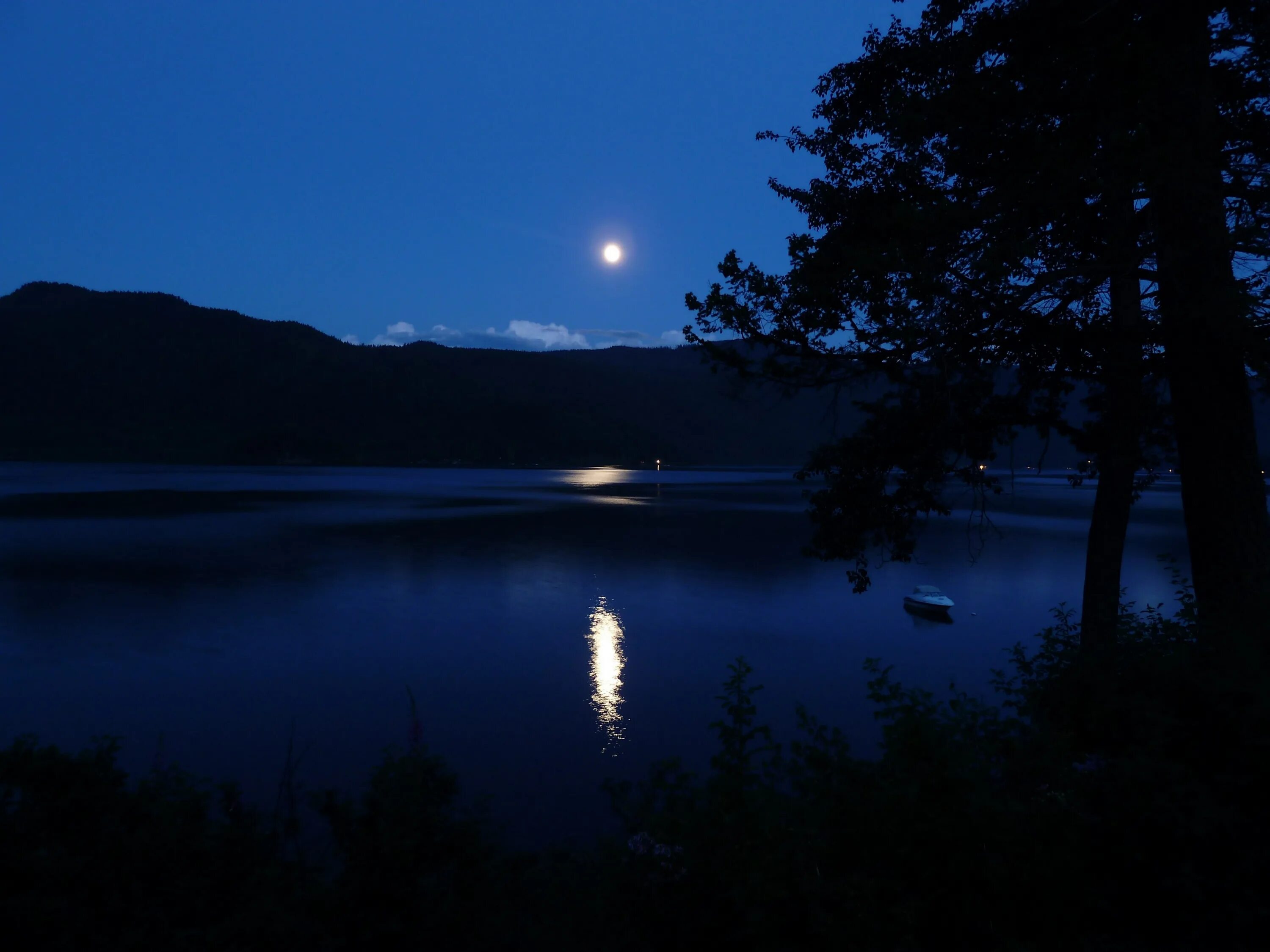 Night lake. Лунный свет над Фирвальдштетским озером. Ночное озеро. Озеро ночью. Берег озера ночью.