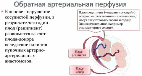 Кровотечение многоплодная беременность