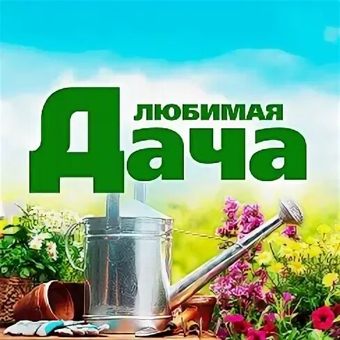 Дача прямой эфир