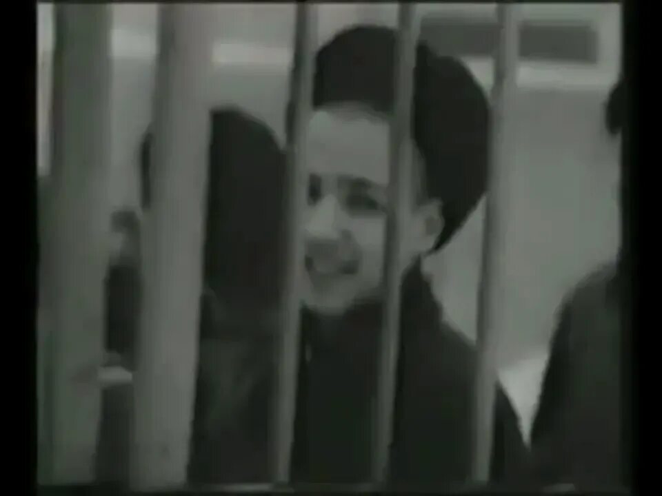 Крик пту не с парадного подъезда