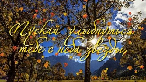 Пожелание ночи осени