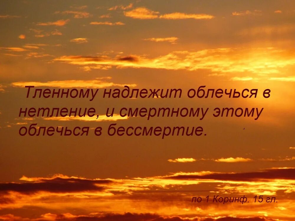 Радость во Христе. Веруя в сына Божия имеете жизнь вечную. Радость в Господе. Христианские высказывания.