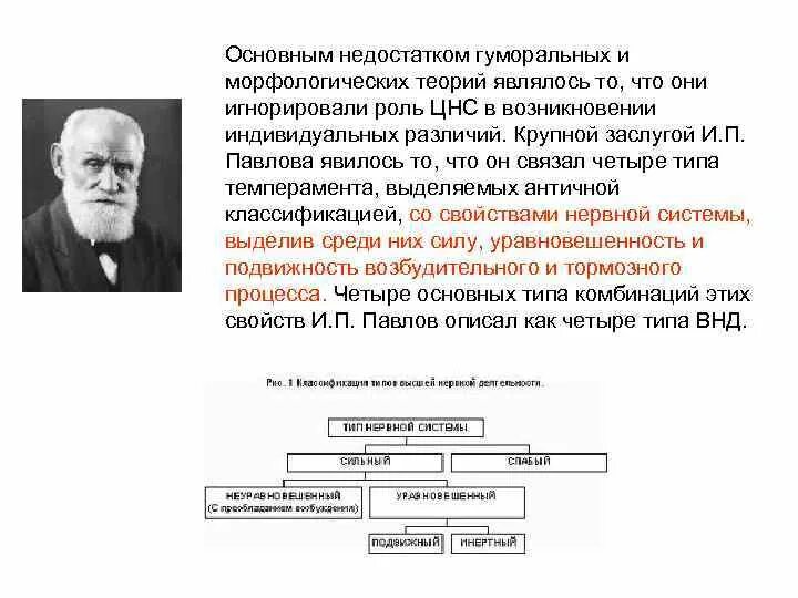 Наука и п павлова. Теория и п Павлова. Вклад и. п. Павлова в развитие учения о ВНД. Критика теории и.п. Павлова его последователями..