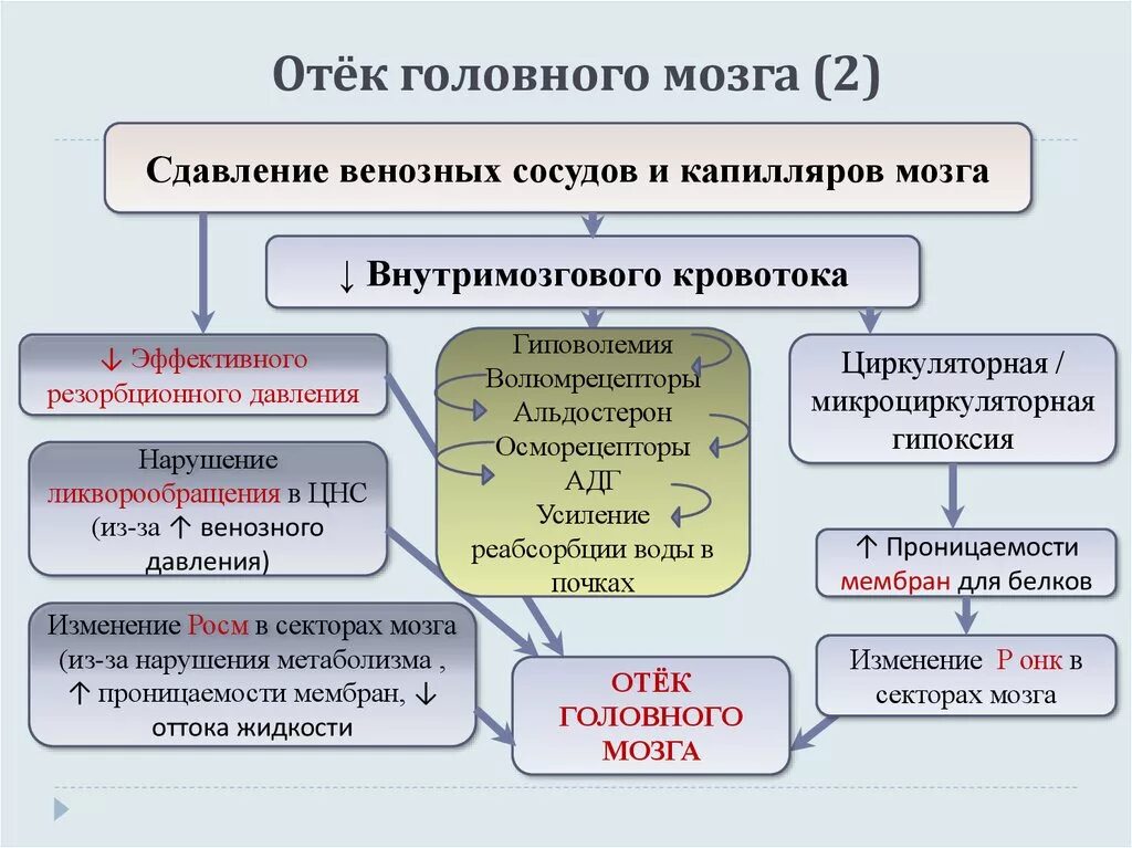 Причины развития мозга. Механизм развития отека головного мозга. Причины формирования отека головного мозга. Этиология отека головного мозга. Отек головного мозга патогенез.