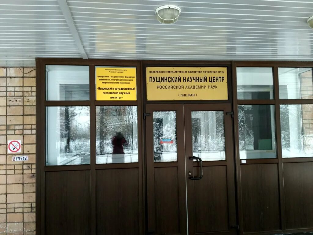 пущинский государственный естественно научный институт. ректор пущгени. пущинский государственный естественно научный институт. пущинский государственный естественно-научный институт» (пущгени. пущино пущгени.