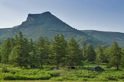 Участок камчатский край