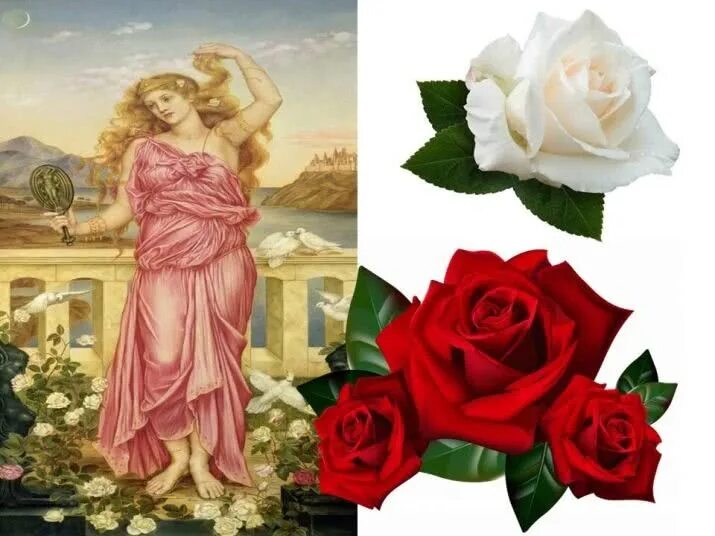 Розы в древнем риме. Розы в древней Греции. Розы в древности.