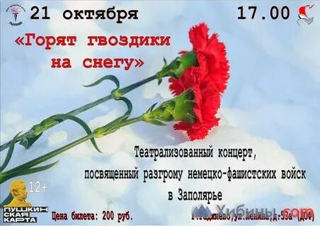 Песня алые гвоздики на снегу