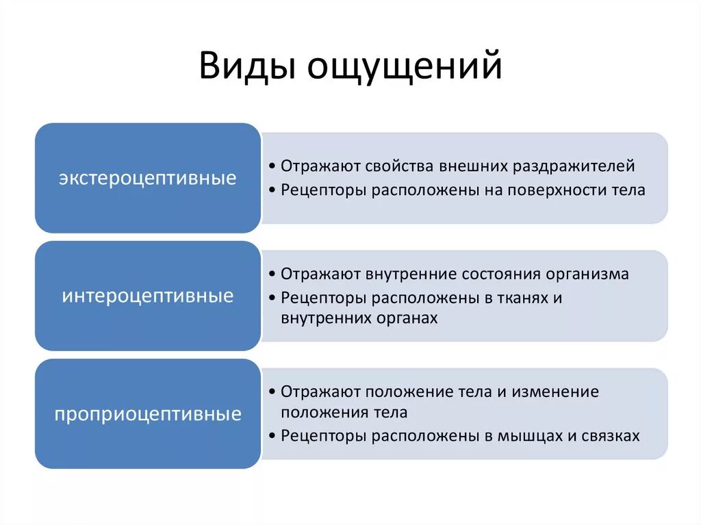 Ощущением не является. Виды ощущений в психологии. Виды ощущений в психологии примеры. Виды ощущений в психологии кратко. Формы ощущений в психологии.