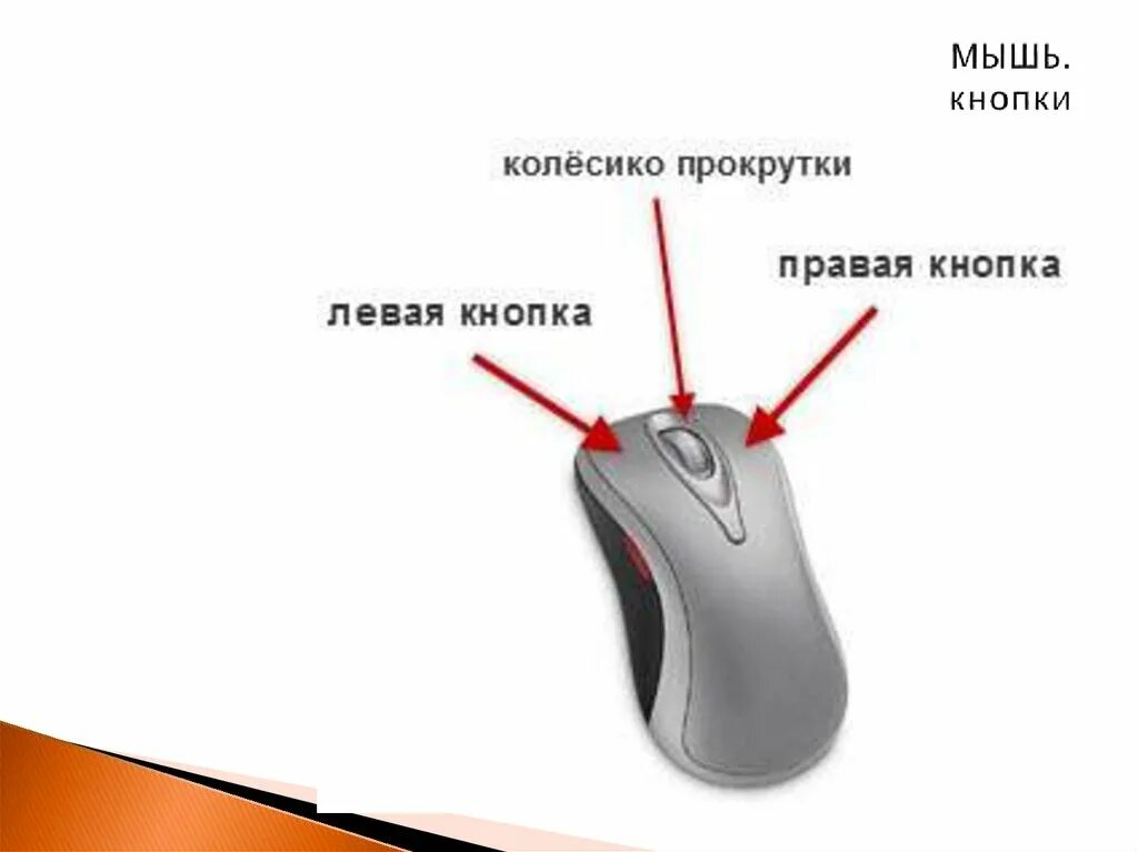 Что значит лкм