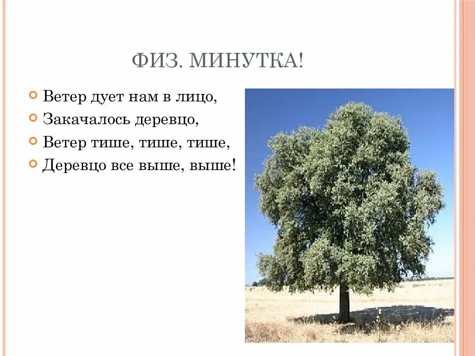 Закачалось деревцо физминутка ветер. Ветер дует нам в лицо закачалось деревцо. физ минутка ветер дует нам в лицо. ветер дует нам в лицо закачалось деревцо физминутка. стих ветер дует нам в лицо.