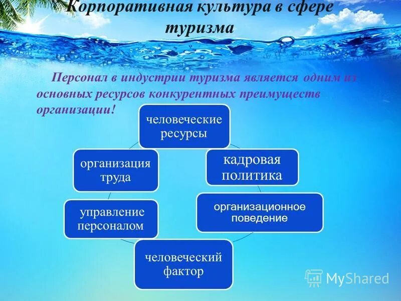 учреждения сферы туризма. международные организации в туризме. индустрия туризма. иерархия в туриндустрии.