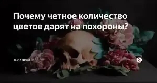 Сколько цветов нужно дарить живым людям. Чётное количество цветов дарят на похороны. Почему четное количество цветов на похоронах. Нечетное количество цветов на похороны. Чётное количество цветов на похороны.