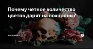 Умерший дарит цветок во сне. Умерший дарит цветок во сне