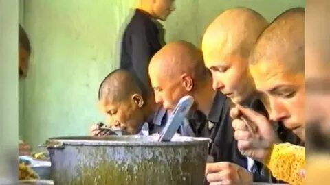Петух на зоне видео