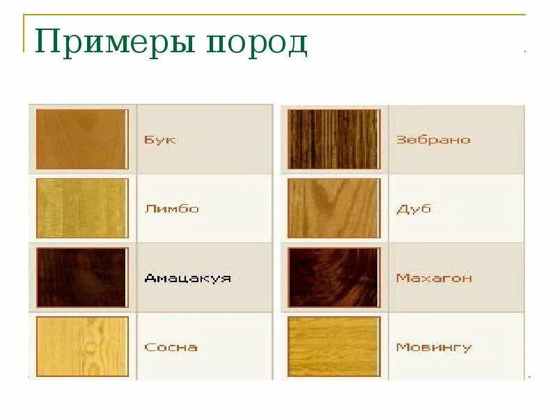Породы деревьев названия. Породы древесины. Цвета пород дерева. Древесина разных пород. Типы древесины для мебели.