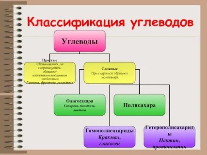 Строение углеводов биология кратко