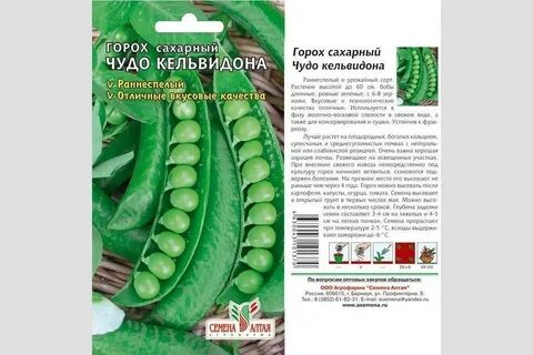 Горох высокий сорта