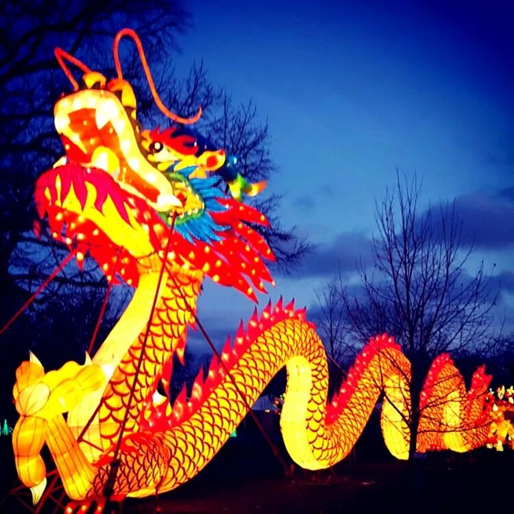 сценка китай праздник дракона нарисоыанно. лалуш китай. китайский новый год танец дракона. китайский новый год дракона видео. праздник фонарей в китае дракон.